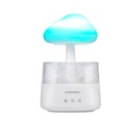 Rain Cloud Luftbefeuchter – Bild 2